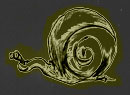 snail